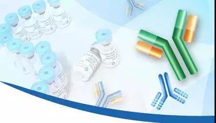 聚焦創(chuàng)新與合作 8月廣州國際生物技術(shù)大會引領(lǐng)抗體藥產(chǎn)業(yè)新浪潮