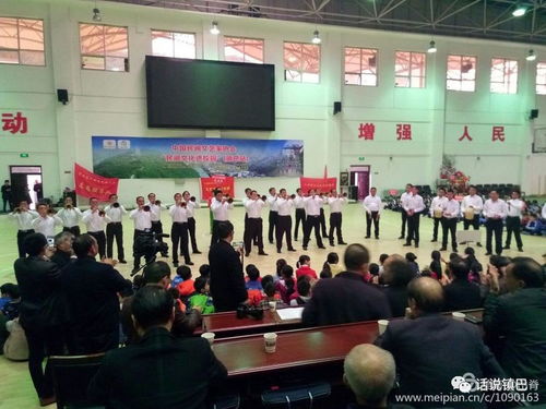 民間文藝綻放校園，文化傳承走進鎮(zhèn)巴——中國民間文藝家協(xié)會‘民間文化進校園’活動紀實